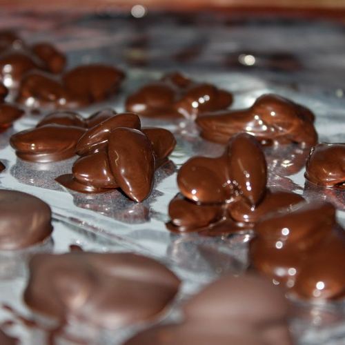 Chocolate Coated Almonds
